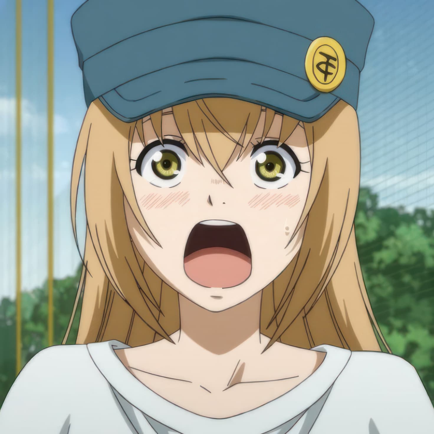 Hana Ichijou AoAshi (ILL & PONY)
