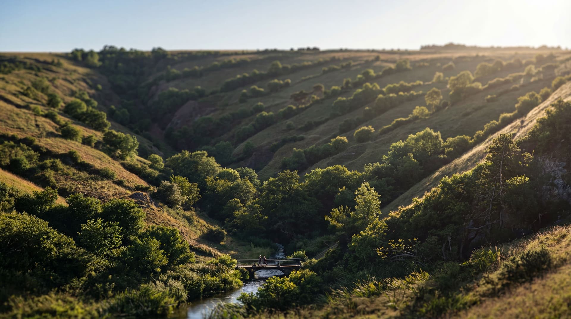 AI generated: ""Photorealistic""Shot on 35mm lens, f/2.8"It forces the AI to mimic real-world camera optics and de...