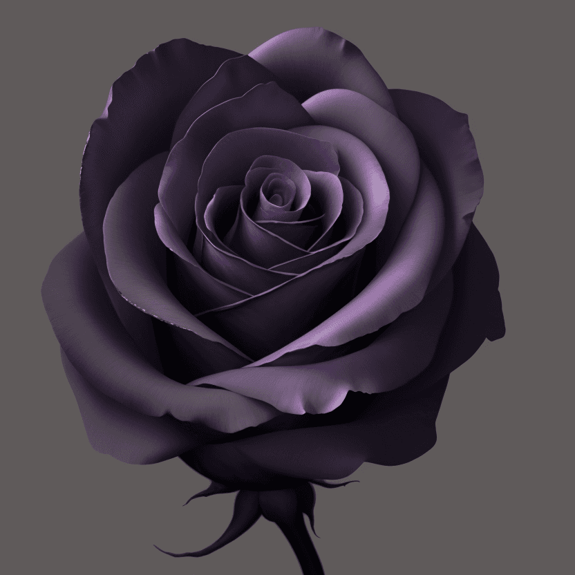 AI generated: An ultra realistic, detailed, single stemmed English dark purple Rose partially opened done in a sur...