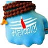 sarohashab's avatar