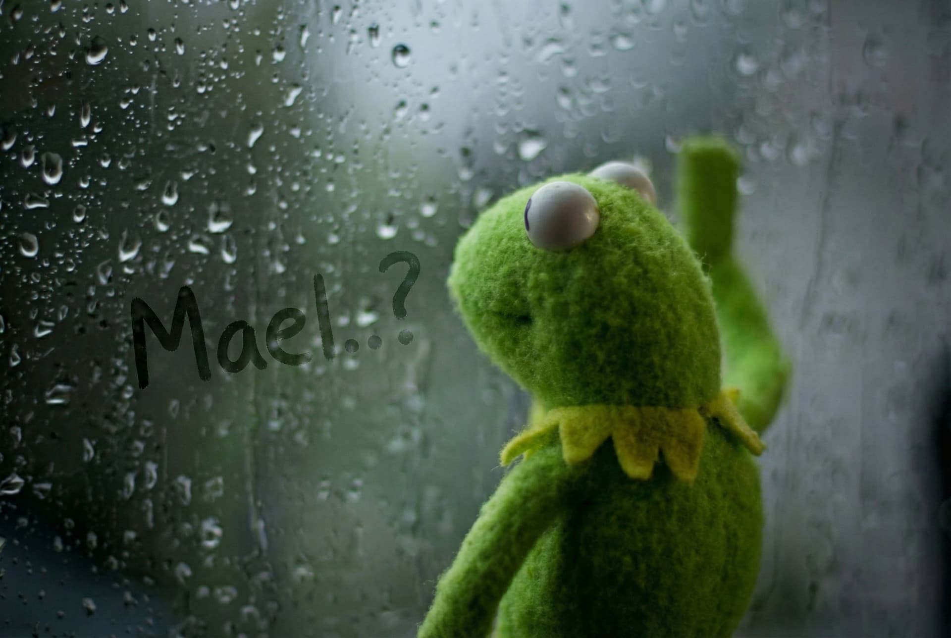 AI generated: Kermit the frog waiting for a response by the window. There is fog on the window and the name "Mael....