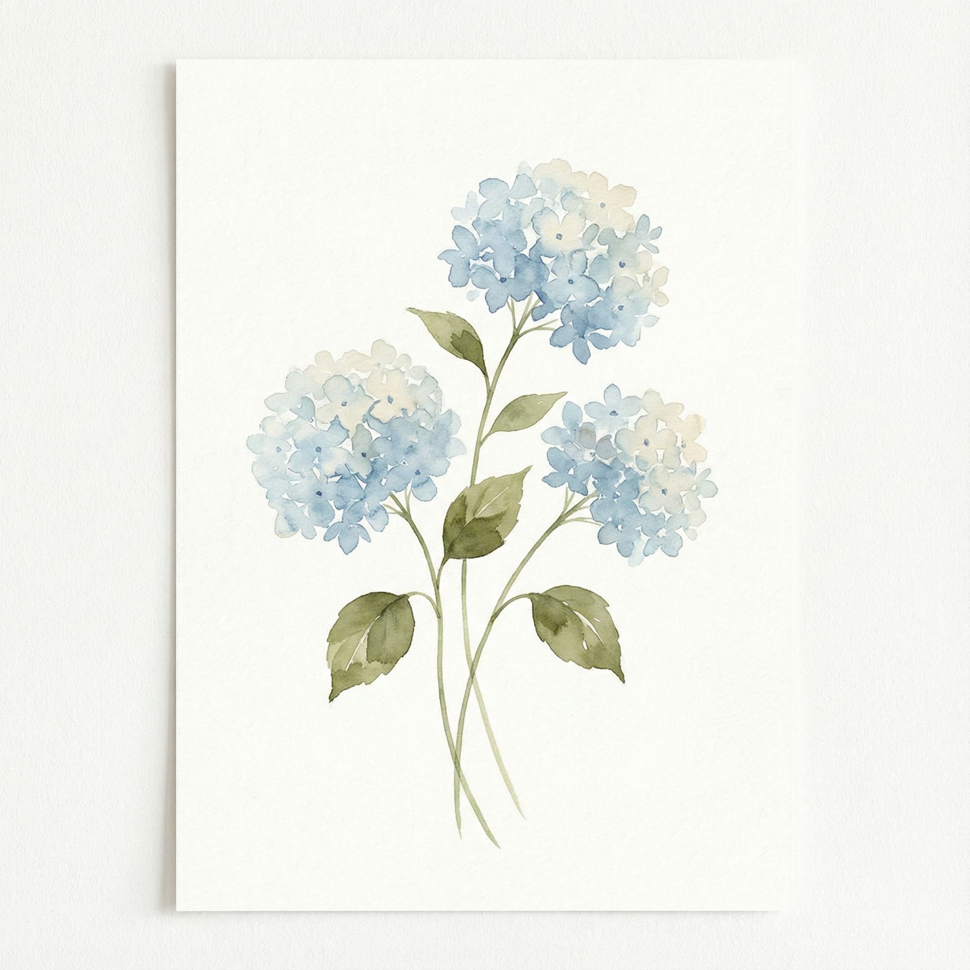 AI generated: A delicate watercolor botanical illustration.
Three hydrangea flowers with soft blue petals,
hand-pa...