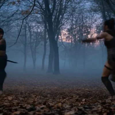 AI generated video: The fight begins slowly, as the two men circle around.
The black-clad swordswoman attacks with fluid...