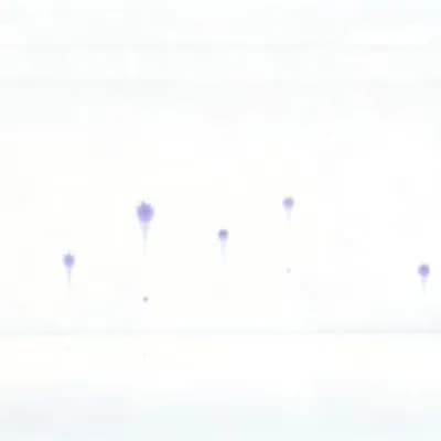 AI generated video: Minimalist white chamber. An empty white room. The environment remains completely unchanged and stab...