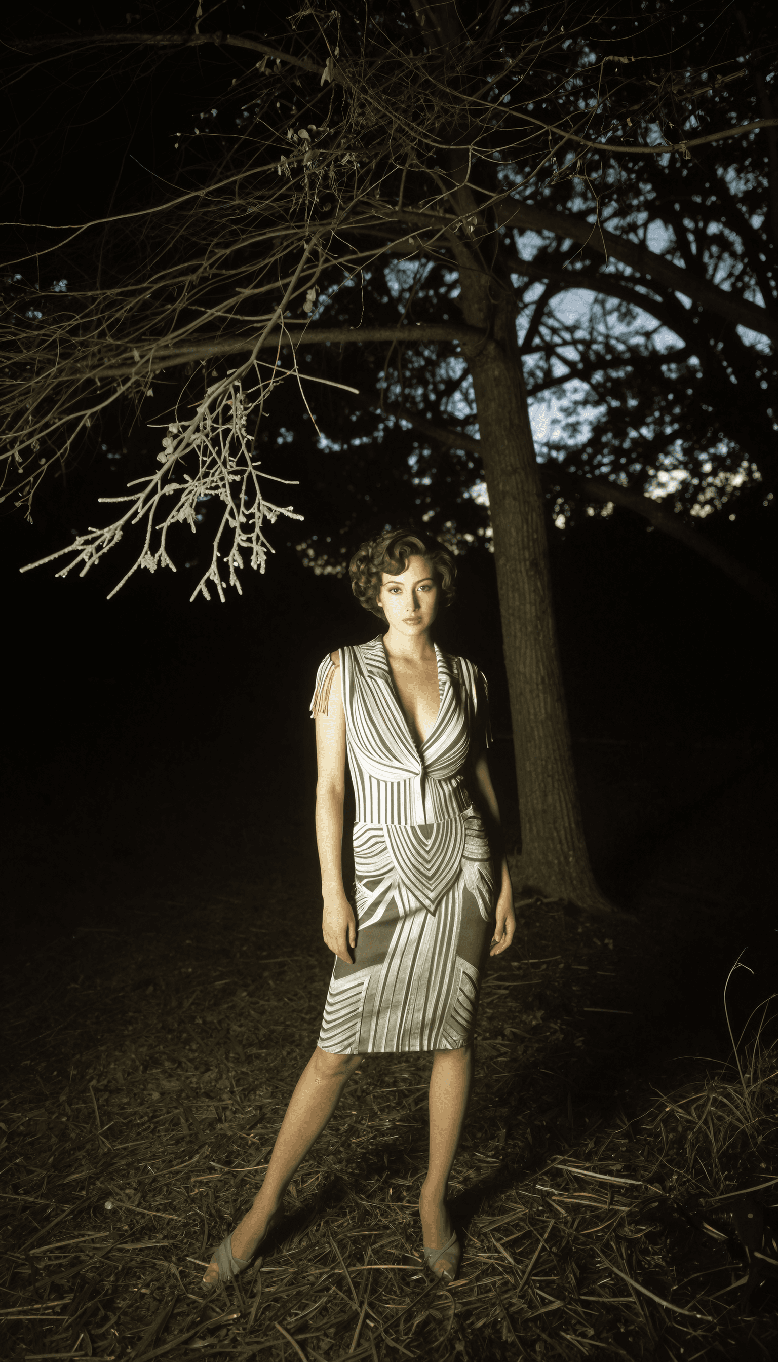 Reversal Film Gravure for z_image_turbo