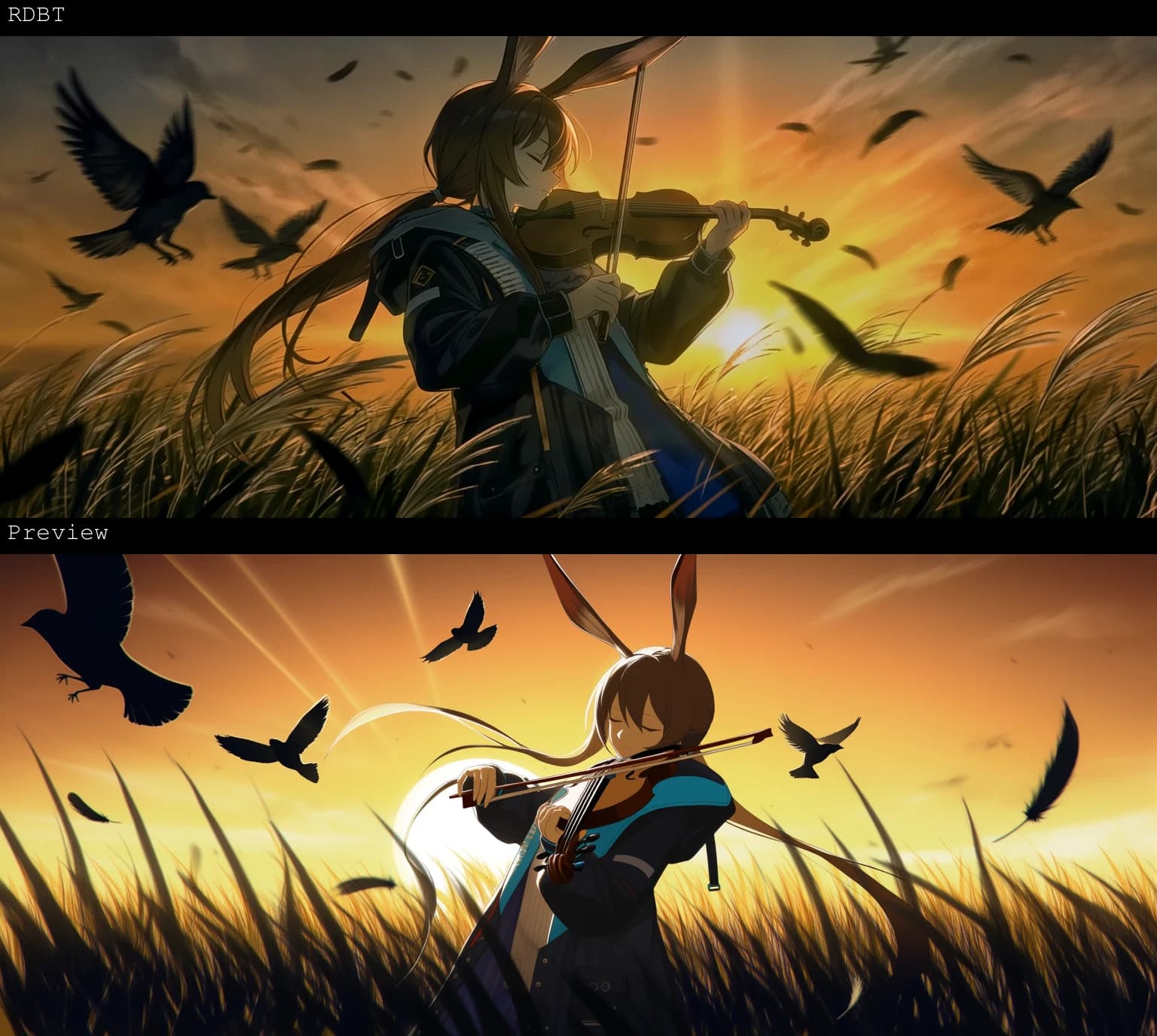 RDBT - Anima - Image 3