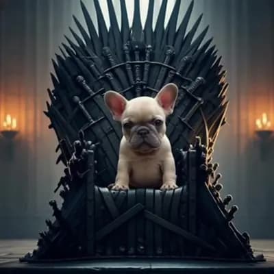 AI generated video: Genera a un perrito bebé bulldog francés toy en un trono de rey de un castillo gigante, que el perro...