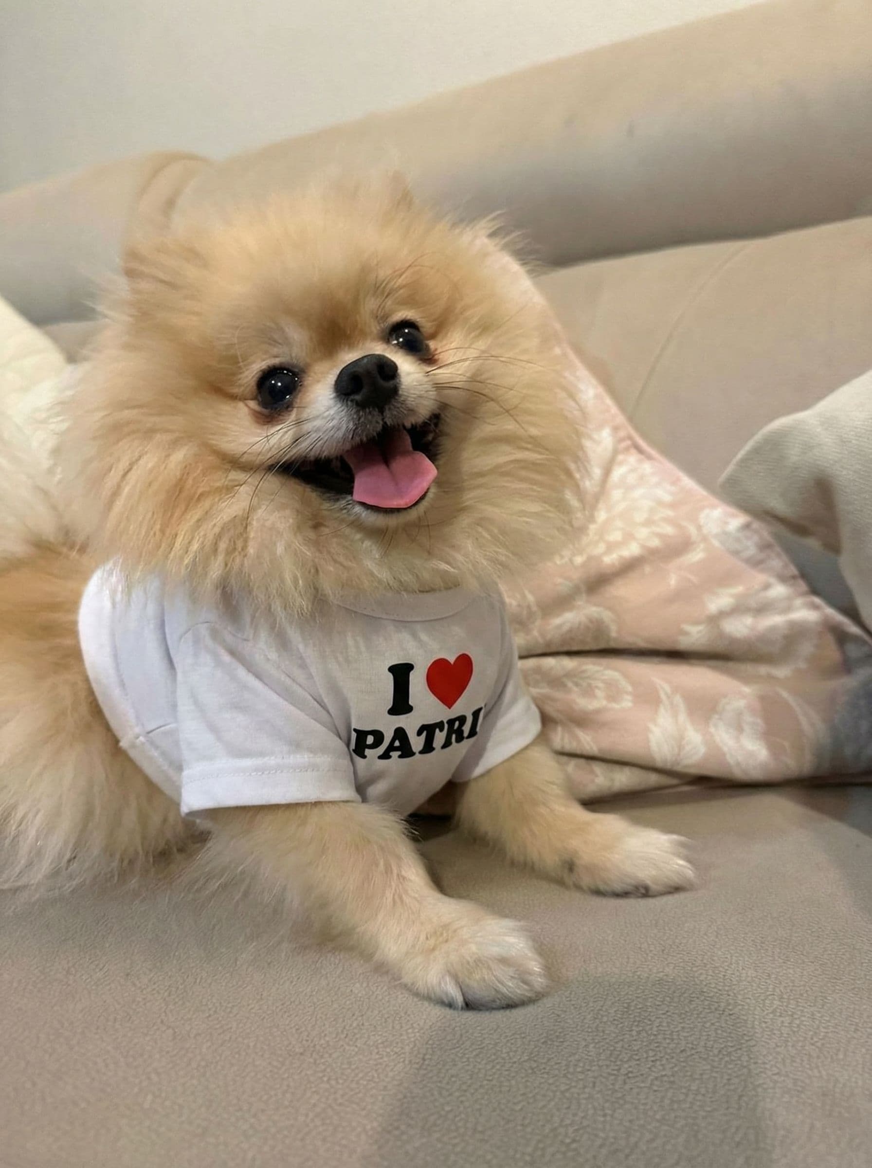 AI generated: Place a shirt on the dog with I (HEART) PATRI