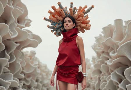 Fanci Club - Collection [Flux] - Image 4