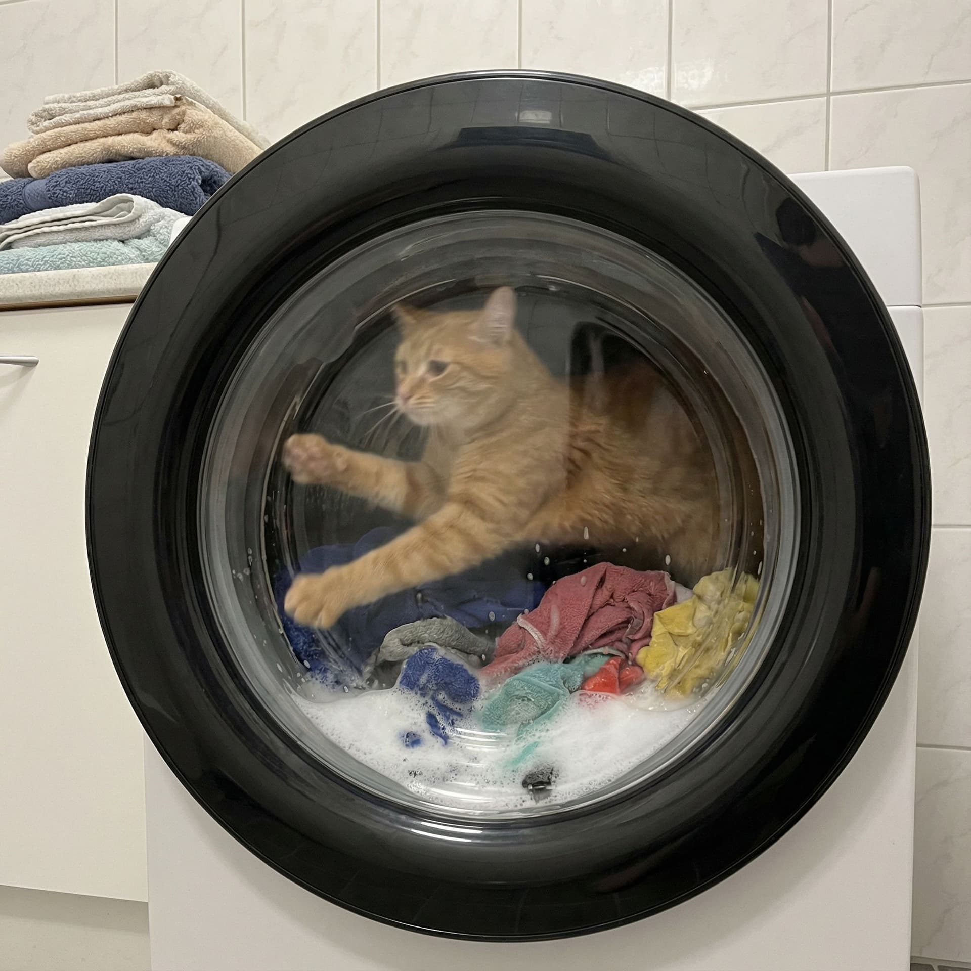 AI generated: A ginger cat running inside a washing machine
