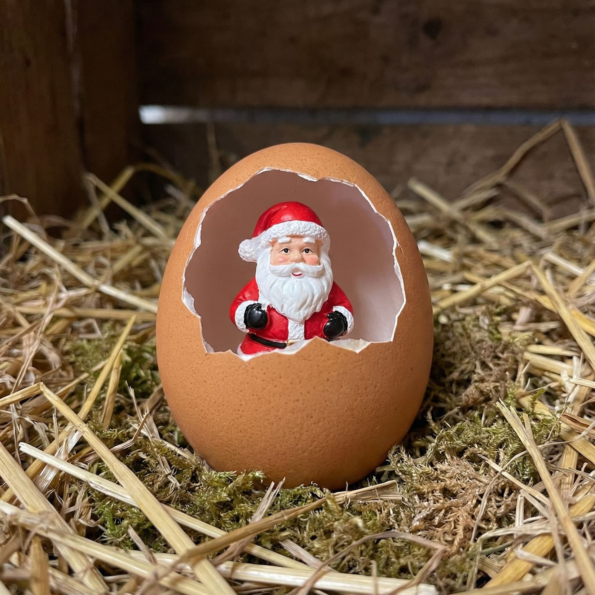 AI generated: A santa claus inside an egg shell 
