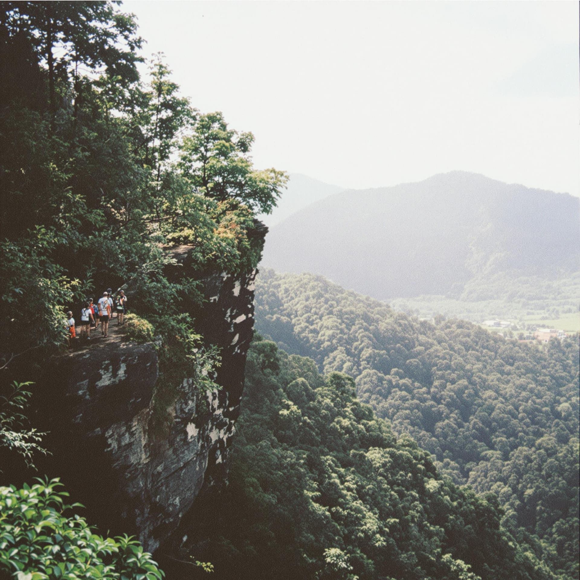 AI generated: madeira hiking, team building retreat, corporate retreat, cliff scenario, lush forest, polaroid, gra...
