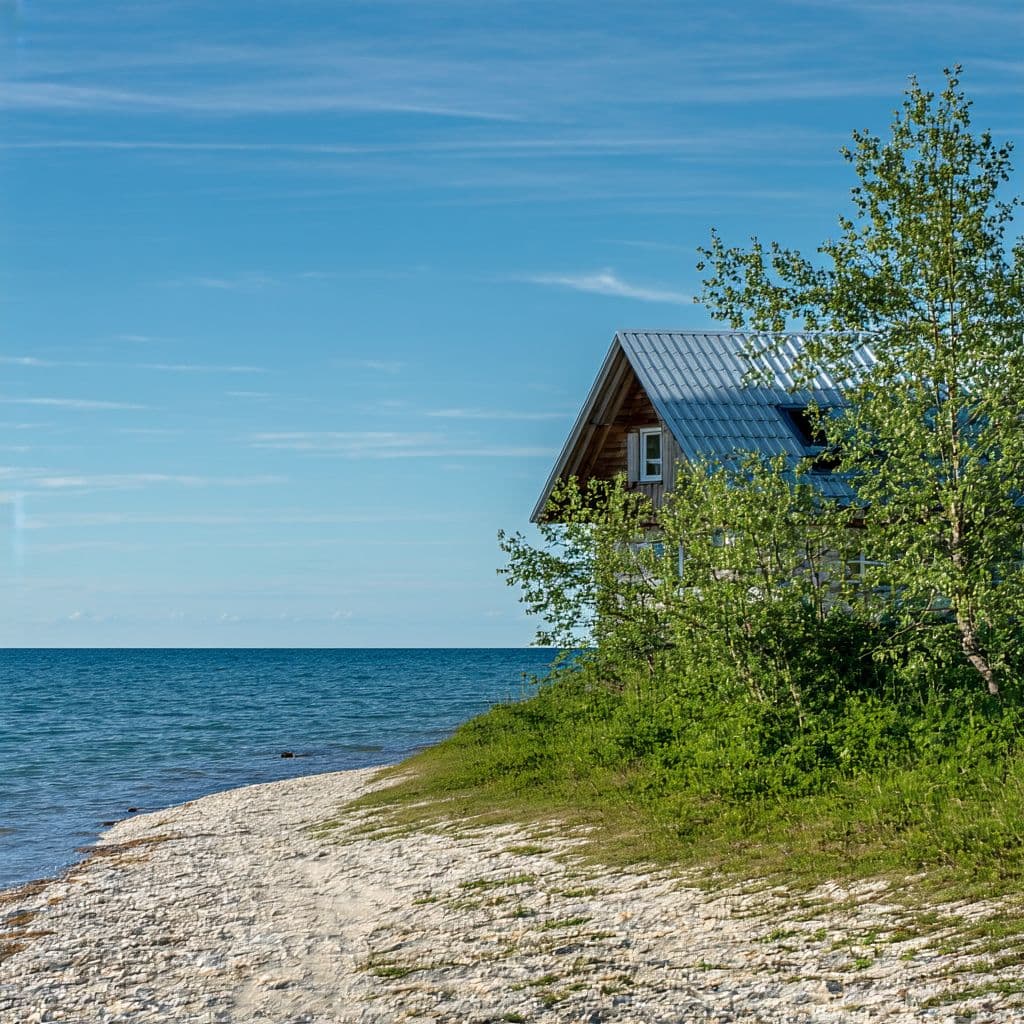 AI generated: Флакон на песчаном берегу рядом с морем, окружённый морскими ракушками и зелёными листьями оливковог...