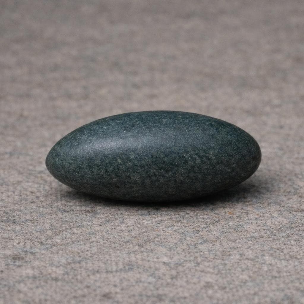 AI generated: create an egg resembling a small thin oval seed, that gets up to about 2 inches long and 1 inches wi...