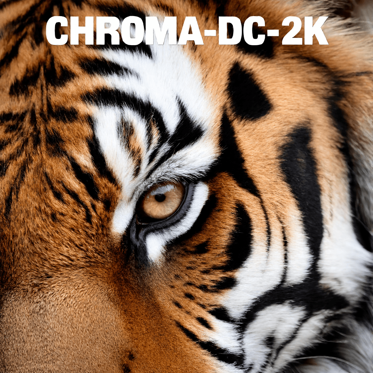 Chroma-DC-2K - Image 1