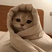 UnordinaryCat's avatar