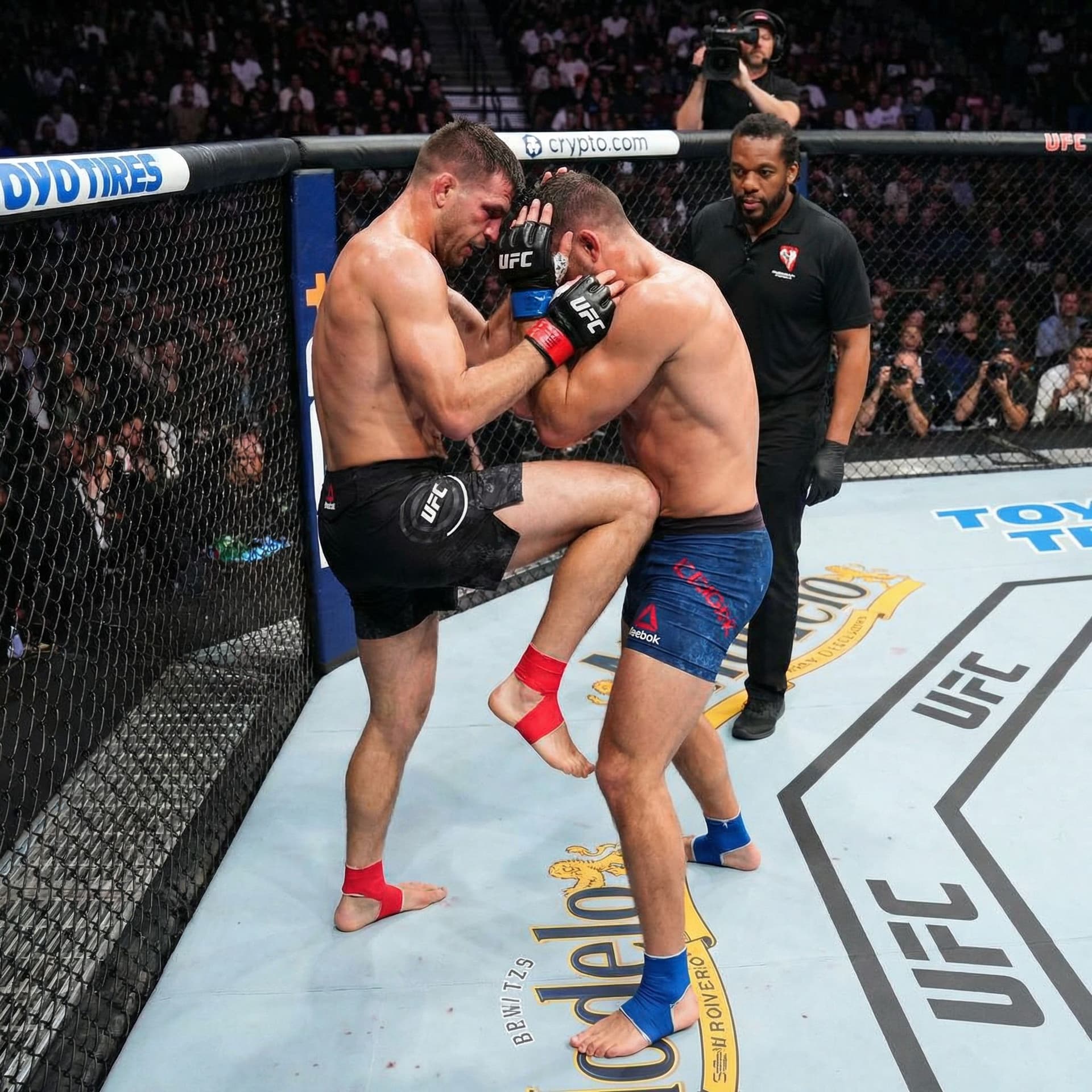 AI generated: UFC Fight