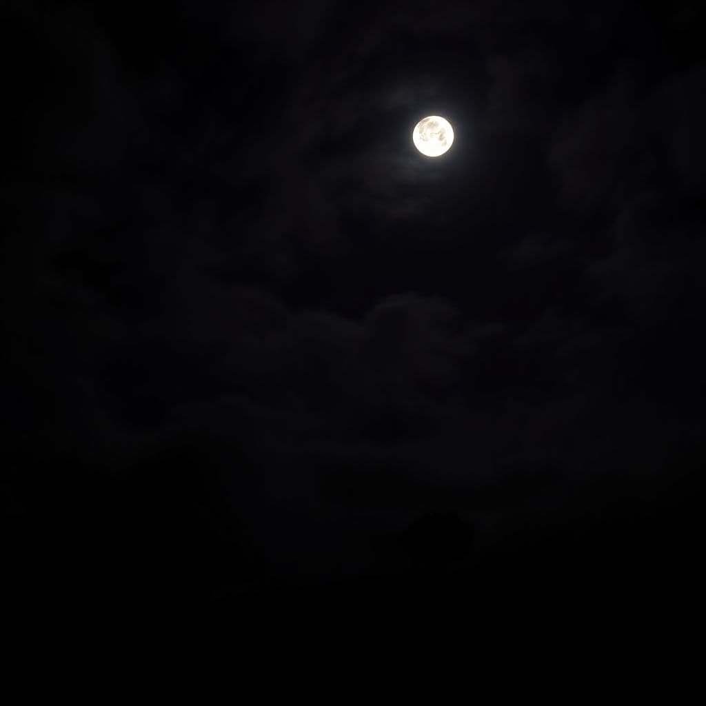 AI generated: A dark night with faint stars showing between many clouds, a full moon illuminating a single tree on...