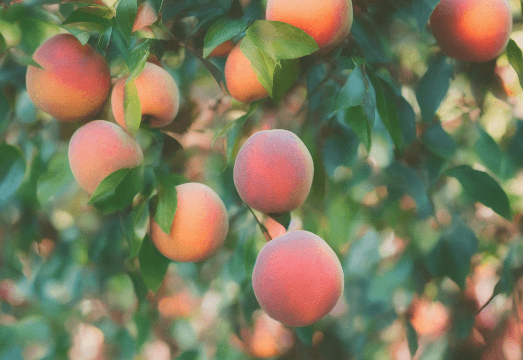 AI generated: 35mm macro photo of a lush peach dripping, multicolor backdrop