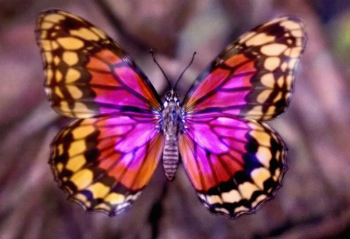 AI generated:  Butterfly  3:2 --quality 2 --style raw --sref 2577280164 --sw 100 --stylize 300