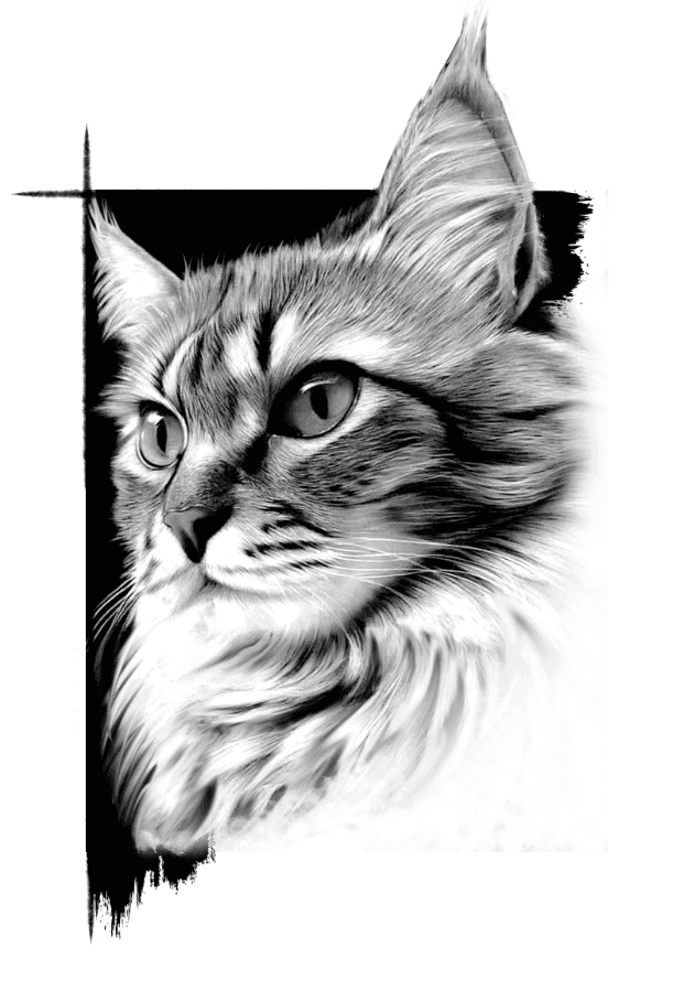 AI generated: line art, vector style, (((white background))), black and white only, a simple cat, line art, use ou...