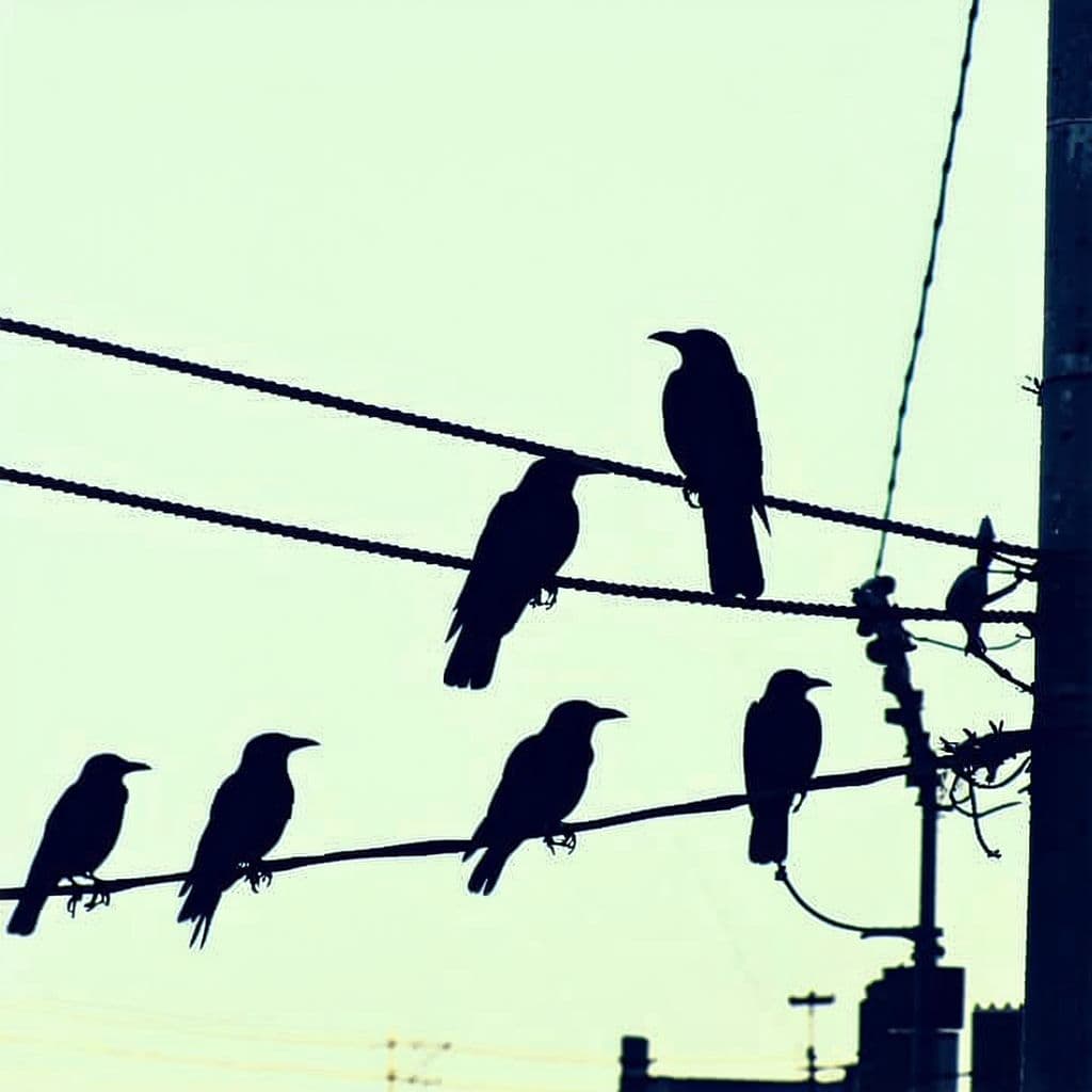 AI generated: Crows on a telephone wire in a dystopian world shadows abound