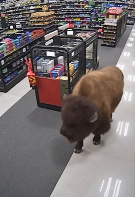 Convenience store CCTV | FLUX.1-dev - Image 3