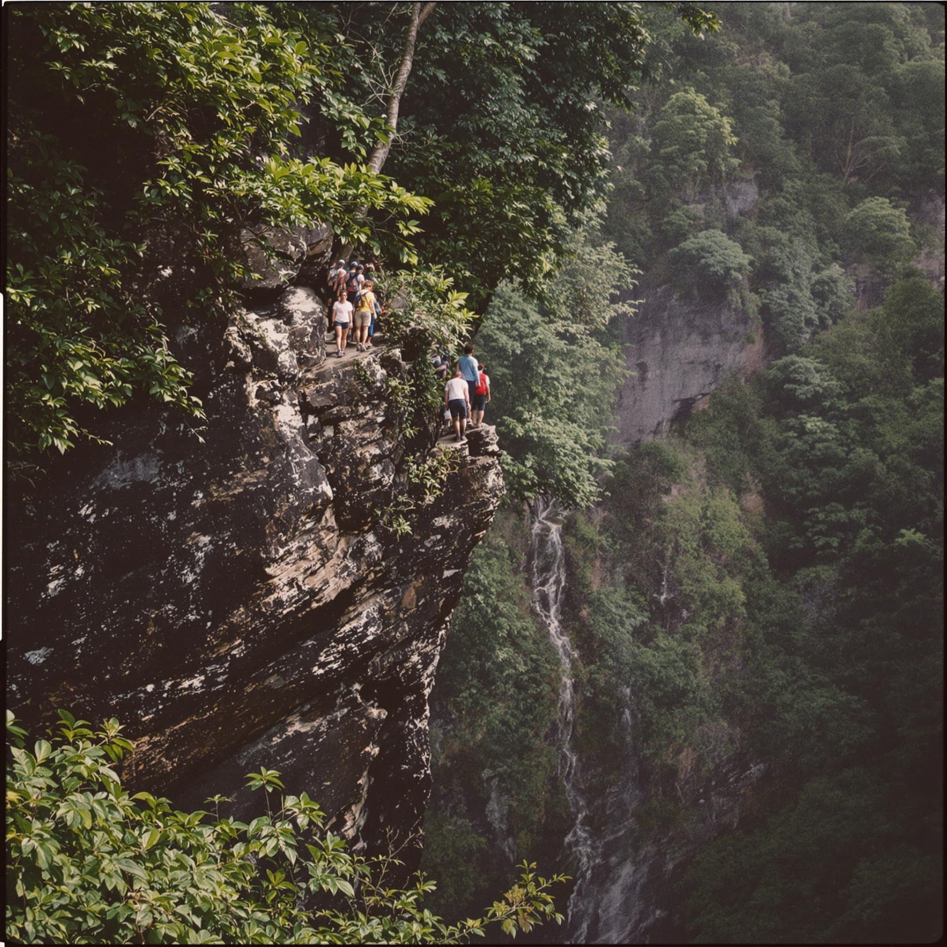 AI generated: madeira hiking, team building retreat, corporate retreat, cliff scenario, lush forest, polaroid, gra...