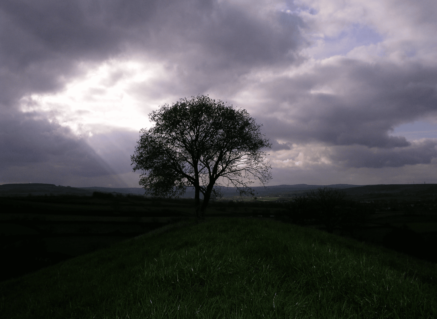 Olympus UltraReal - Image 4
