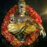 jeevanpranav's avatar