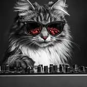 Platocat's avatar