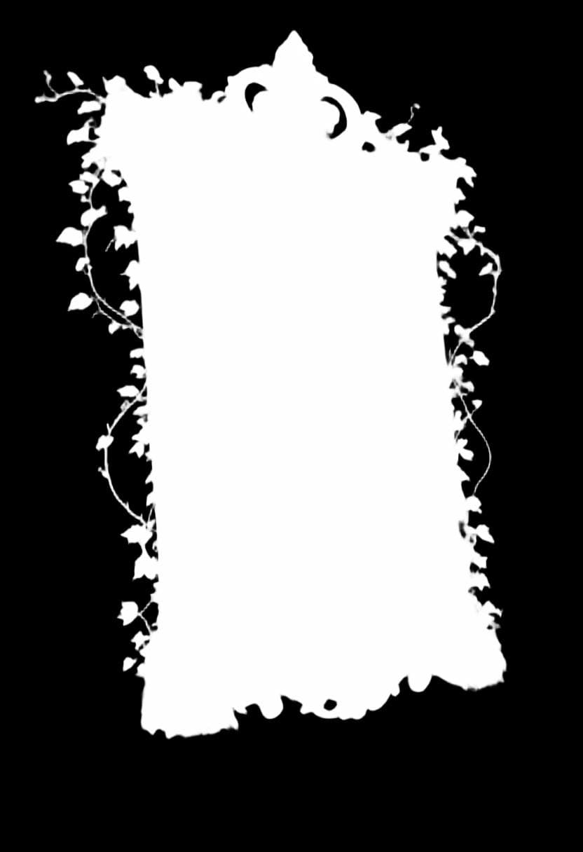 BiRefNet Background Removal - Image 3