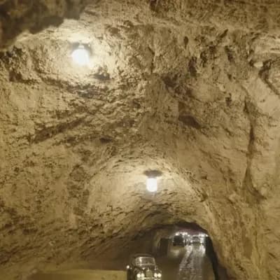 AI generated video: Macro cinematic camera dives underground into the tunnels of an ant colony. Dirt walls, branching pa...