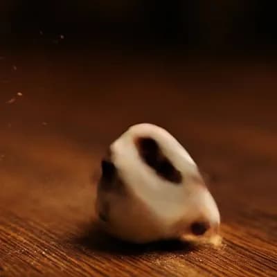 AI generated video: animate rolling