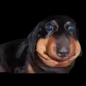 EmoteFroggy's avatar