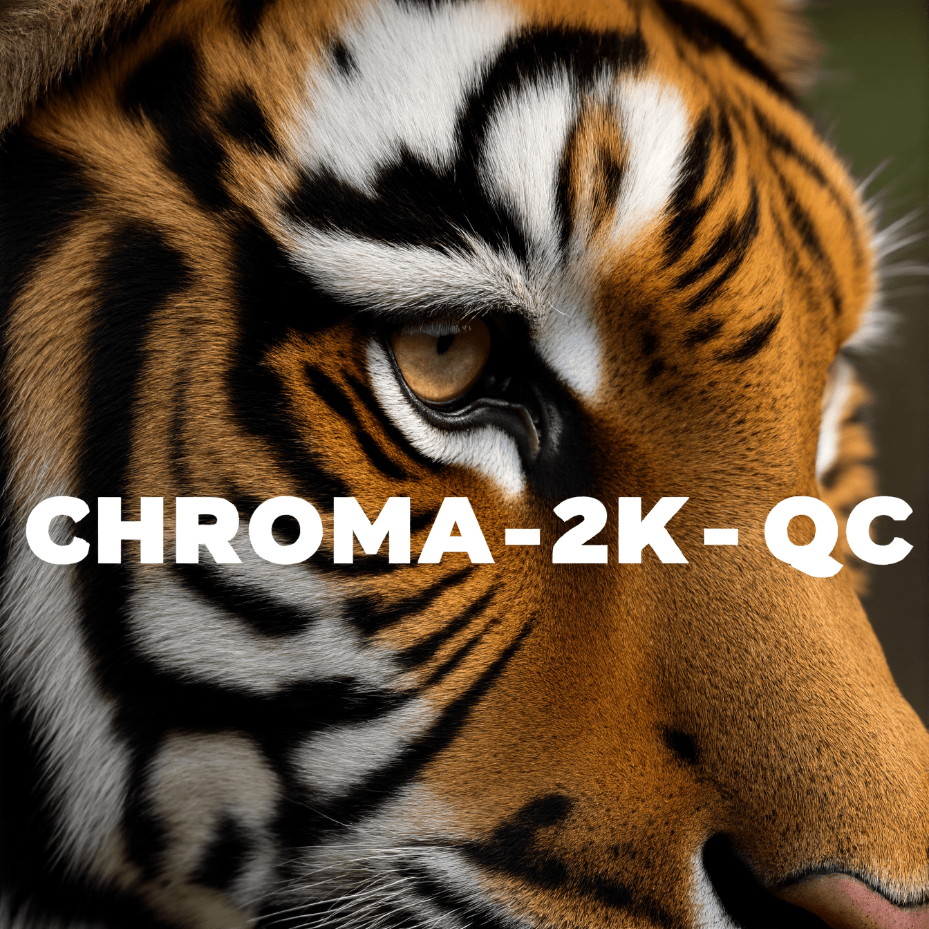 Chroma-2K-QC - Image 3
