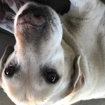 AI generated video: he is moving