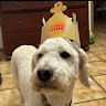 felixpiechotta's avatar