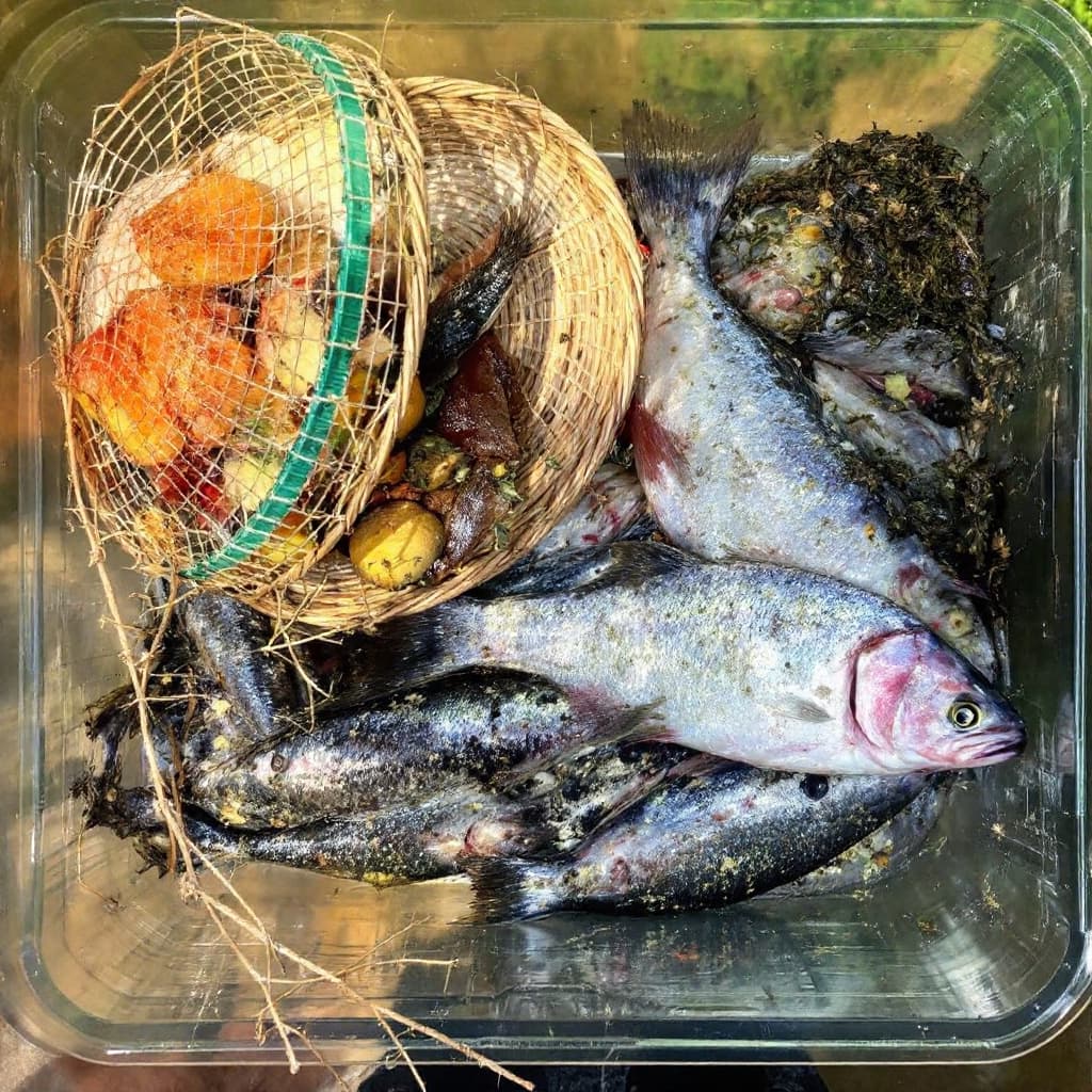 AI generated: Harvest the fish catch