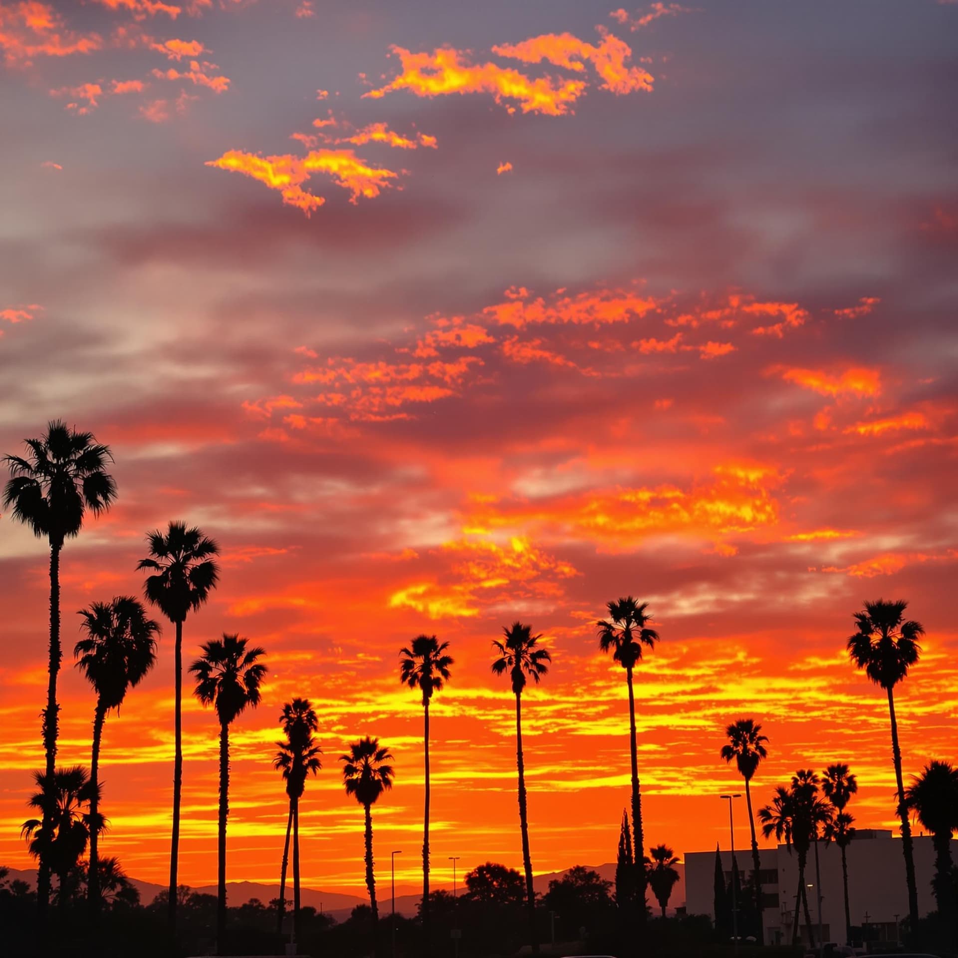 AI generated: Los angeles in flame in sunset