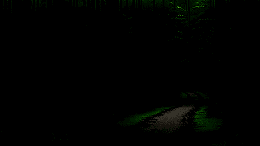 AI generated: A scary dark forest with tall trees and lush foliage, gentle rain falling on the leaves and forest f...