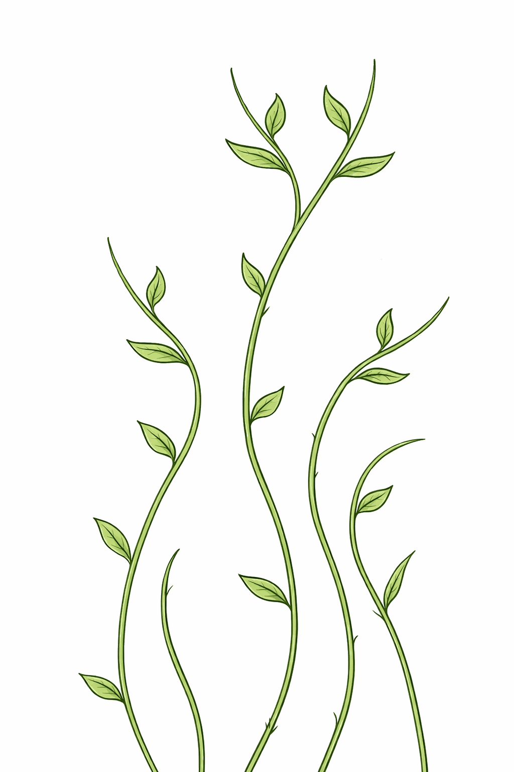 AI generated: make the illustration lines stronger, whilst keeping the exact shapes and colors
