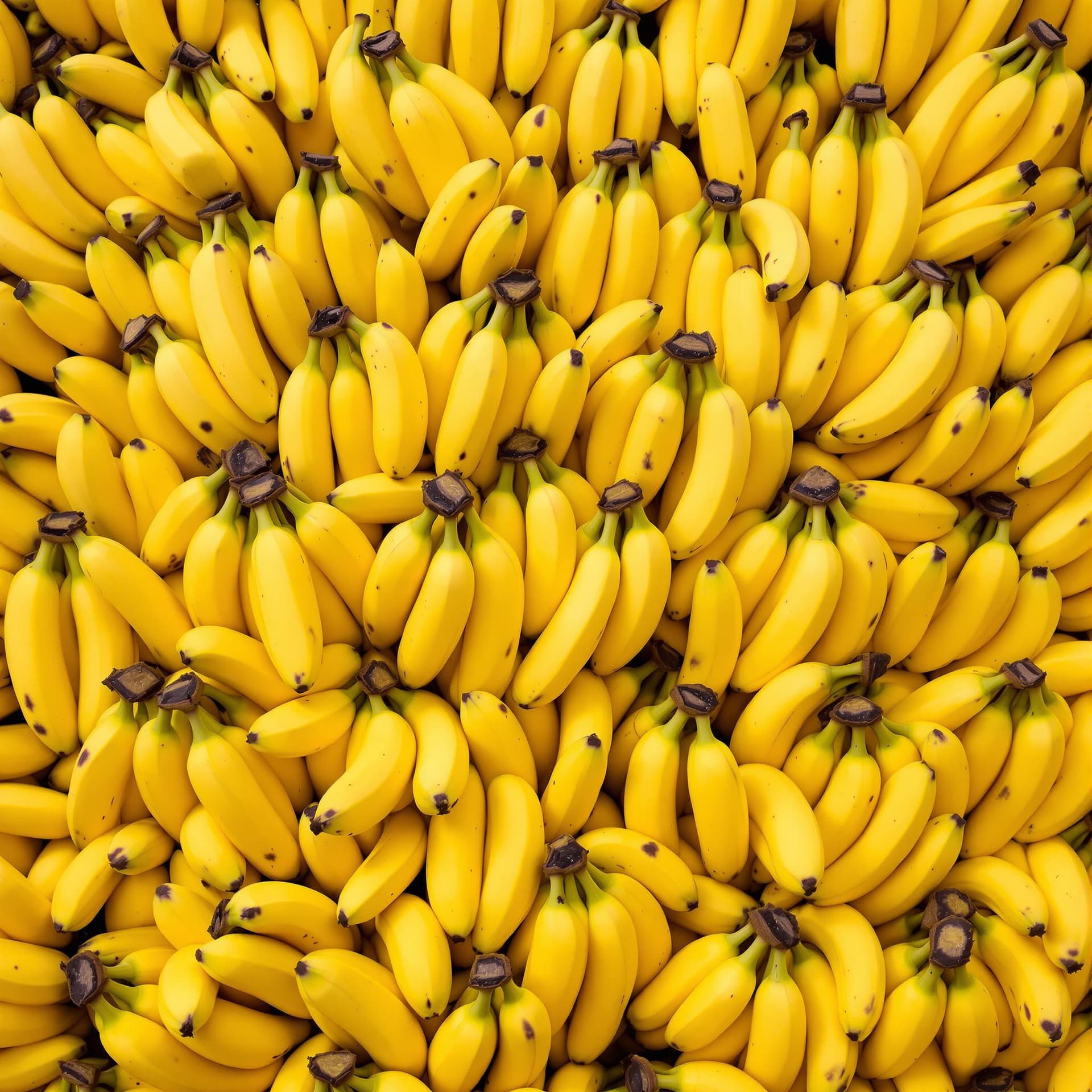 AI generated: The image showcases an abundant collection of ripe bananas, filling the entire frame with a vibrant ...