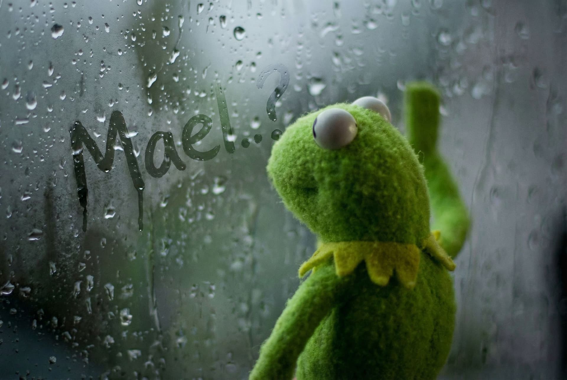 AI generated: Kermit the frog waiting for a response by the window. There is fog on the window and the name "Mael....