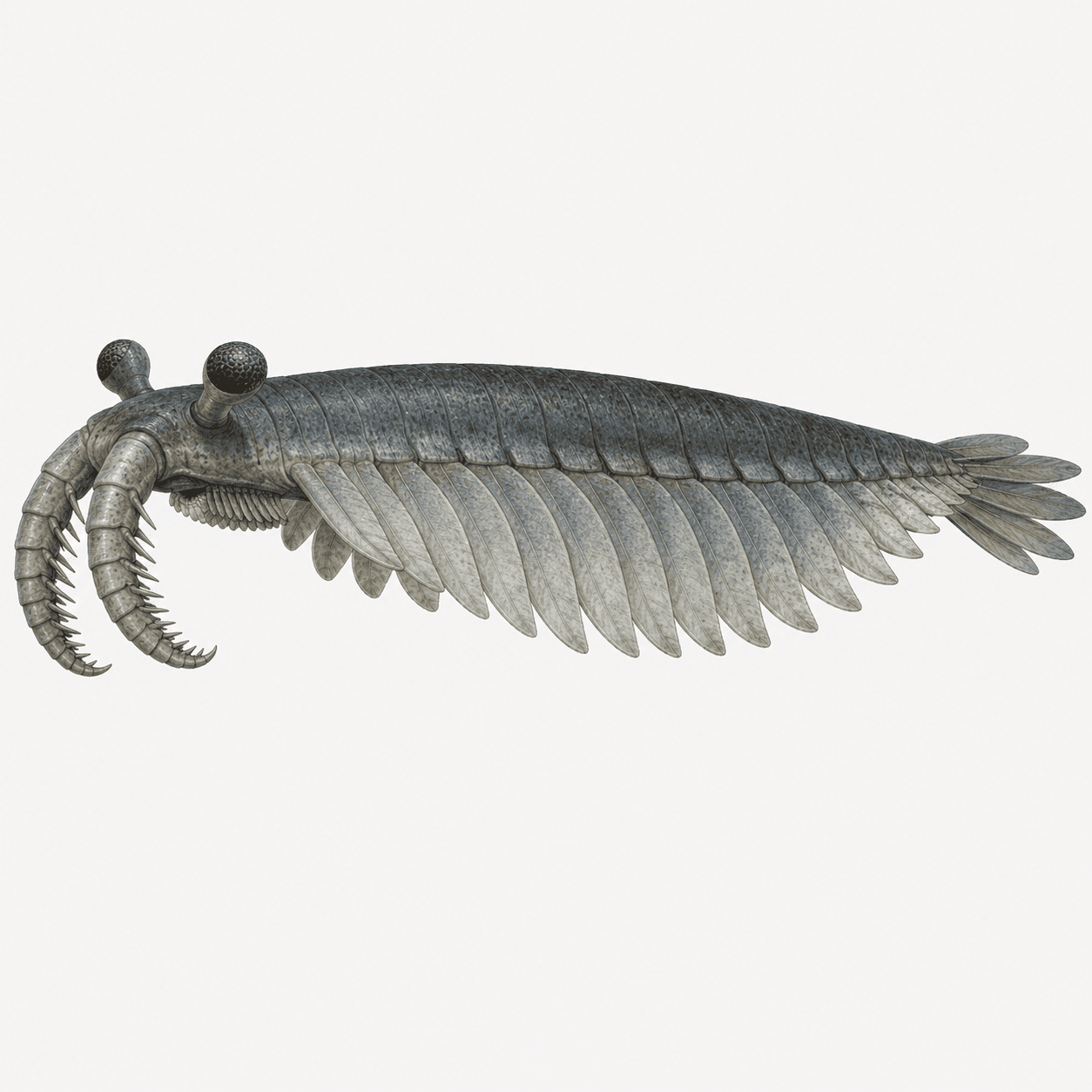 AI generated: Ultra-detailed scientific paleoart illustration, museum-quality zoological identification plate, fea...