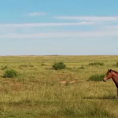 AI generated video: The pod empieza a echar humo desde abajo y despega lentamente 