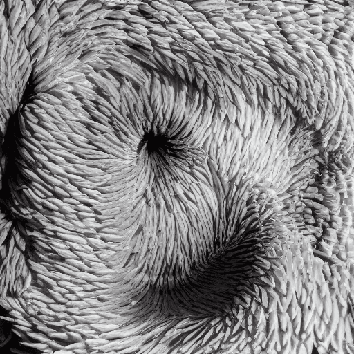 AI generated: Highly detailed photography of ignorance