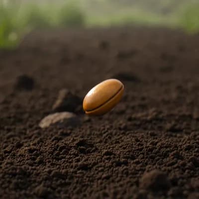 AI generated video: Use the Images to understand what type of seed image i want aned use the videos i provided to make s...