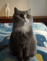 @ba03e966aa8