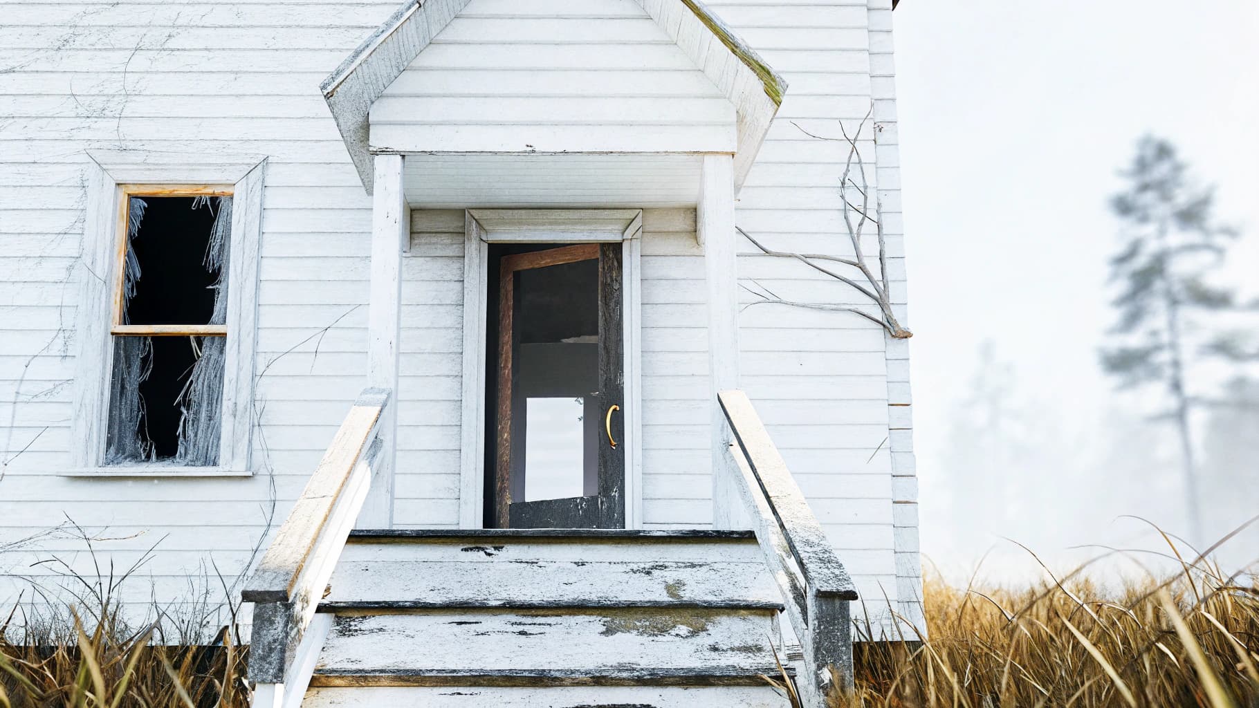 AI generated: A hyper-realistic close-up view of the entrance to an abandoned house in the forest, captured in sof...